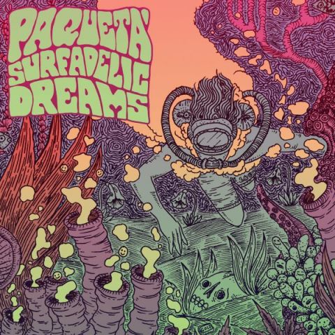 Paquetá - Surfadelic Dreams
