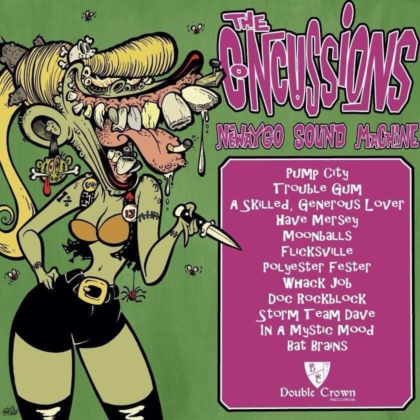 The Concussions - Newaygo Sound Machine