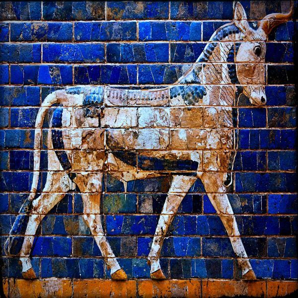 Amphibian Man - Babylon