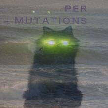 Per Mutations - Surfing in the Phenomenal World
